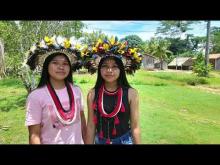 Embedded thumbnail for Vrouwen van het Inheemse volk Paiter-Surui